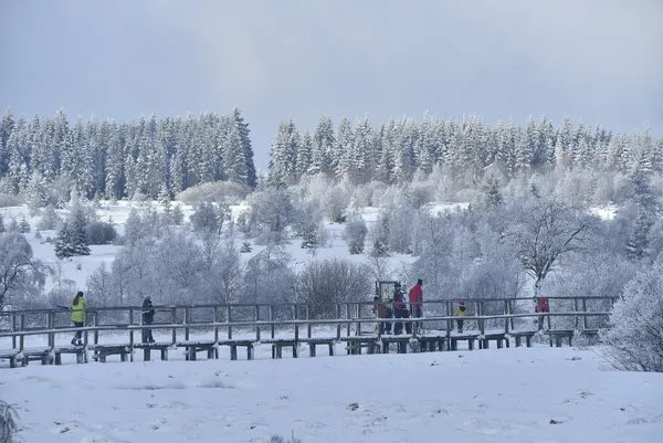 Vue des Hautes Fagnes sous la neige.