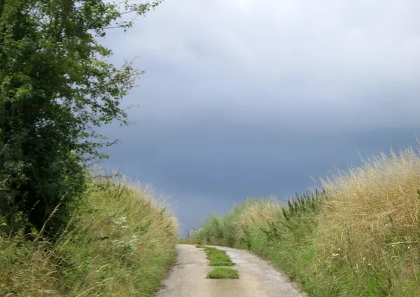 Veldweg Batsheers