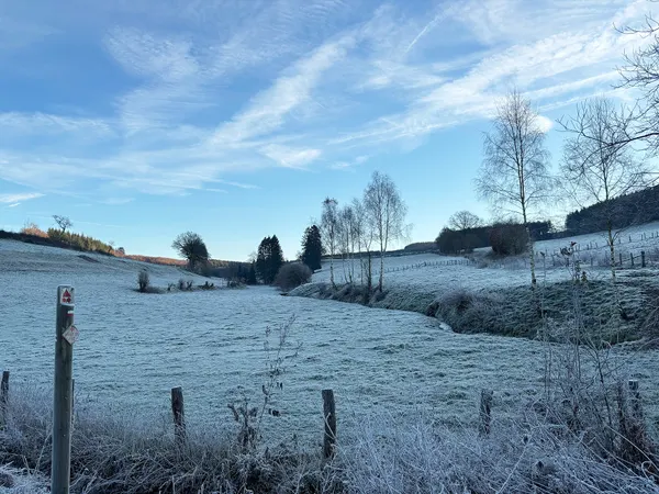 Ruisseau de Tavigny.
