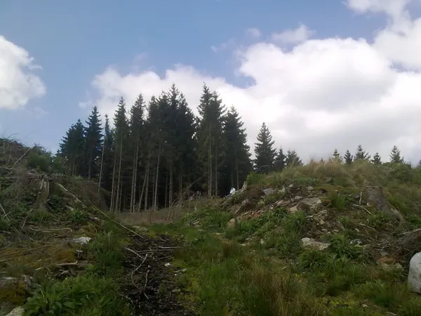 Site dit "du camp romain" sur la crête dominant l'Ourthe au Nord de Lavacherie, sur l'éperon de Baseilles.
