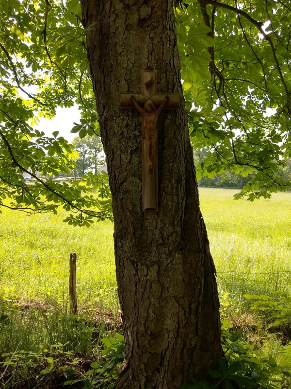 Wooden cross on a treel. History and date unknown.