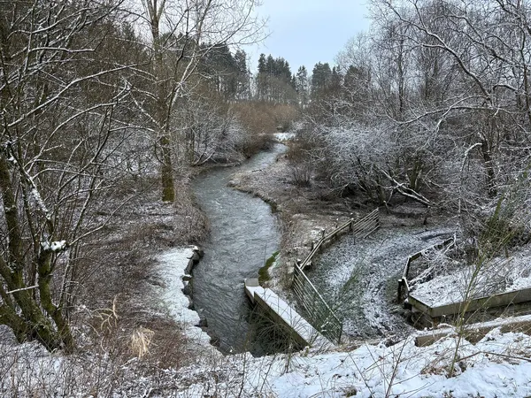 La Wiltz near Benonchamps seen from a former railway bridge.