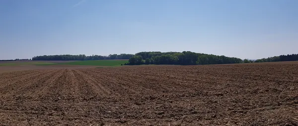 Hoogbos bij Mheer en 's-Gravenvoeren, Nederland/België