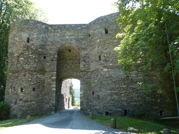 Salmchâteau-Château des Comtes de Salm
