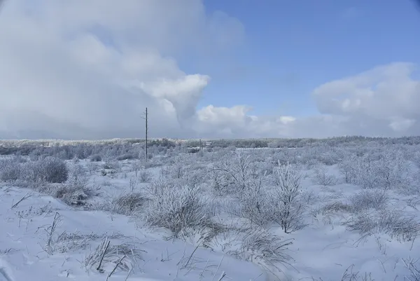 Vue des Hautes Fagnes sous la neige.