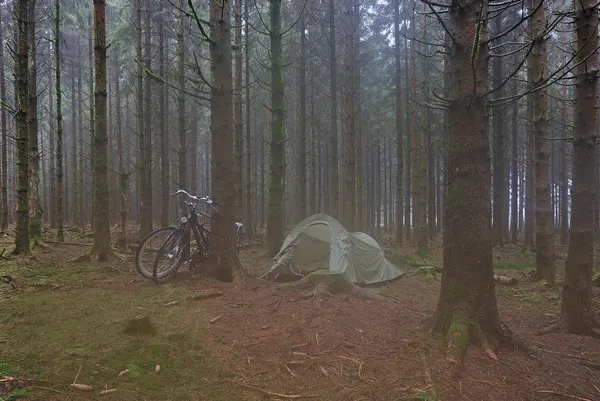 Tent and bicycles in the woods by Route de l'Ancienne Douane in Stavelot, Belgium (sensor is fogged, DSCF3621)