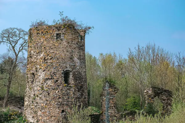 Hors son donjon, il ne reste aujourd'hui quasiment plus rien de ce château médiéval du XIIe siècle, ravagé dit-on fin du XVIIIe siècle…