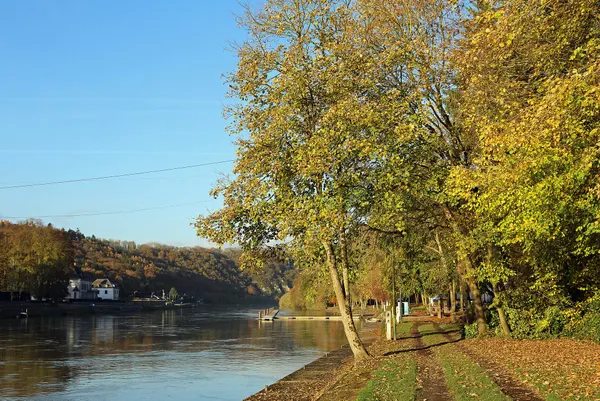 The Meuse river in Waulsort (Hastière, Belgium)