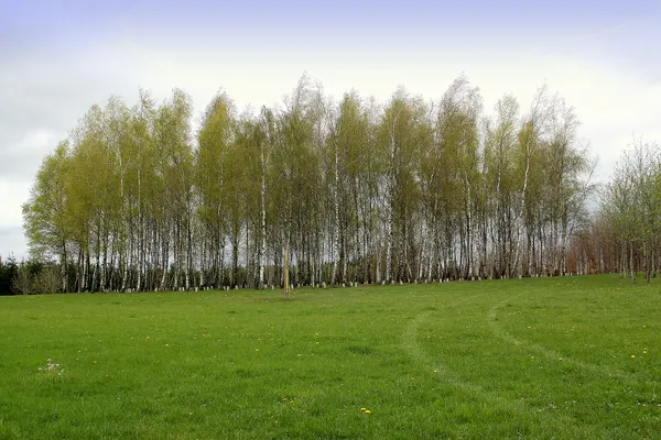 Een Deel vum Bois de la Paix