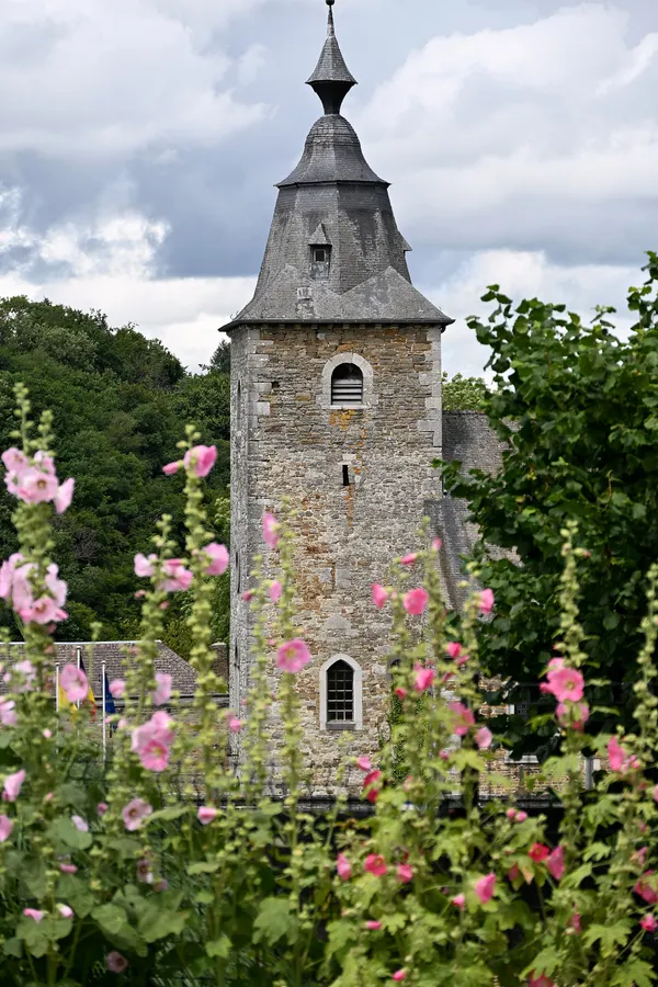 Church tower of Église Saint-Martin de Crupet, with hollyhocks, Crupet, Assesse, 2025