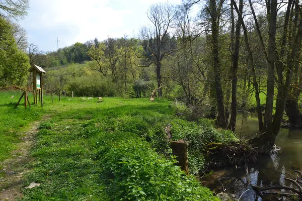 Bivouaczone near Soulme, Belgium