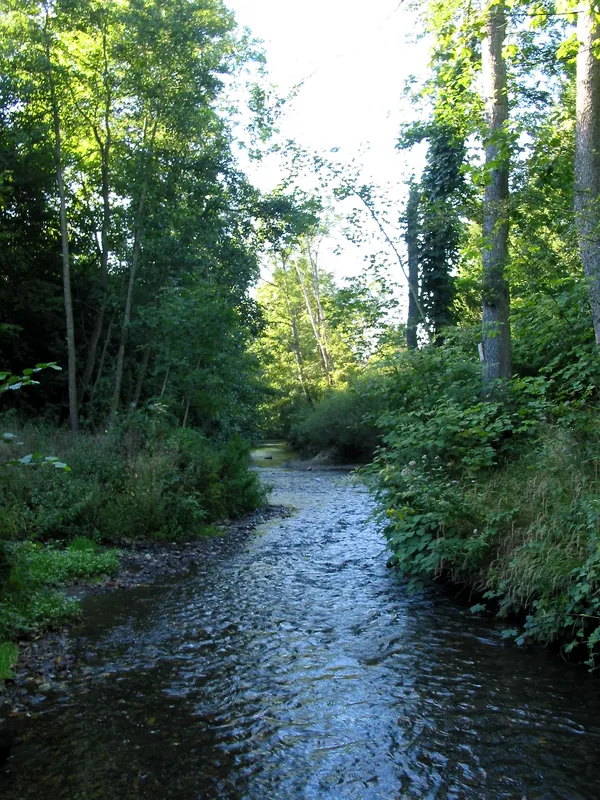 Forrières (Belgium), the L'Homme river next the old clog factory.