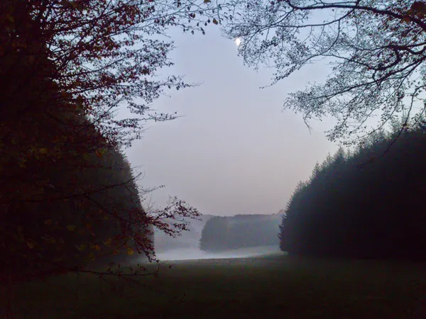 Bois de Clairefontaine, côté luxembourgeois