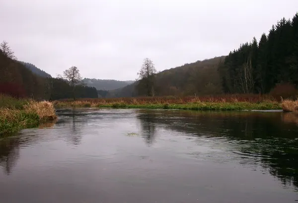 River Semois at Îles de la Bergerie east of Dohan, Bouillon, 2005