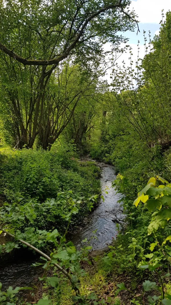 Cottesserbeek bij grenspaal 7a tussen België-Nederland, Cottessen-Sippenaeken (links van beek: BE, rechts van beek: NL)