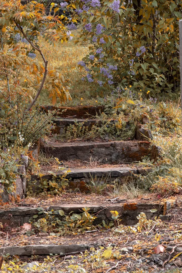 Stairs in Werpin, Hotton, Belgium
