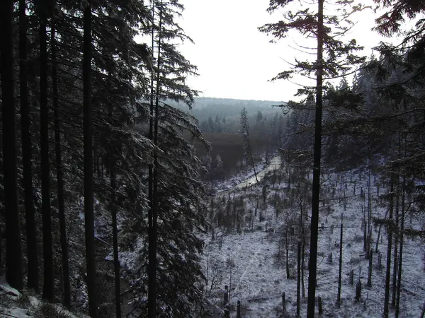 Aussicht übers Hilltal