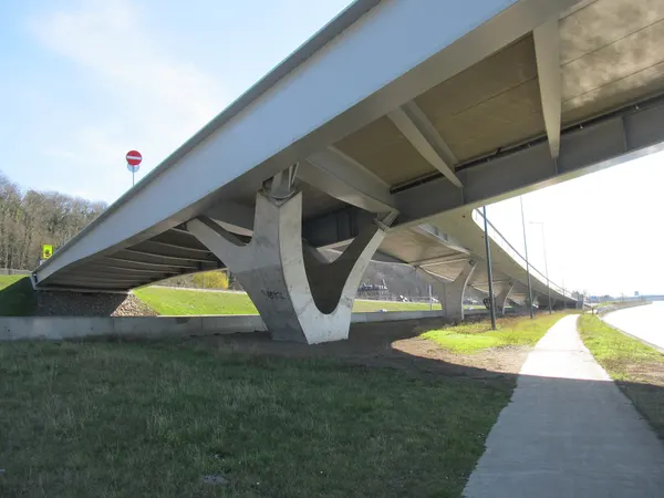 Pont de l'Euregio (în română Podul Euregio), un pod rutier peste fluviul Meuse din comuna belgiană Visé.