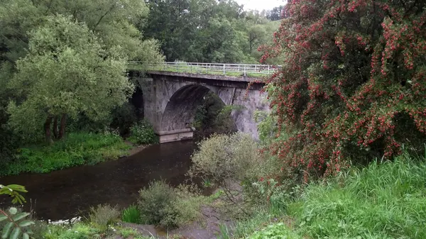 Railway bridge of line 132 over the Virion river just before the french border.