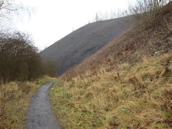 Slag heap in Blegny Belgium. Viewed from the bottom.