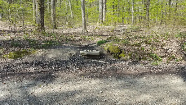 Source de la Pelerine-Voie, Spa, Belgique
