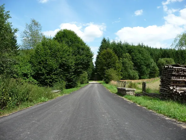 «Chaussée Marie-Thérèse» au village de Journal (commune de Tenneville, Belgique).