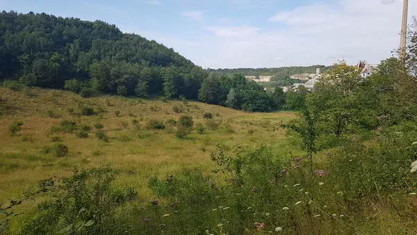ENCI-weide, Sint-Pietersberg, Maastricht, Nederland