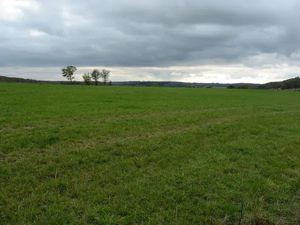 Pasture