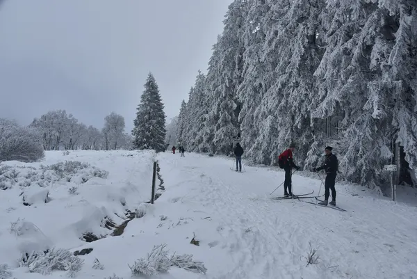 Vue des Hautes Fagnes sous la neige.
