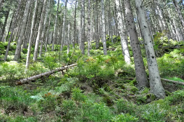 Marish geocache