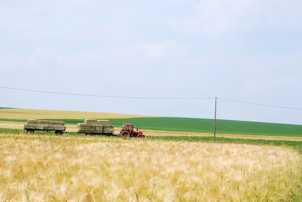 Mowing time in Belgium