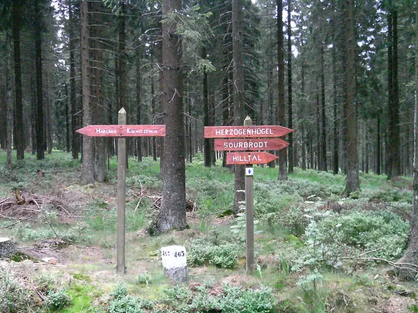 signpost in the belgium Hautes Fagnes