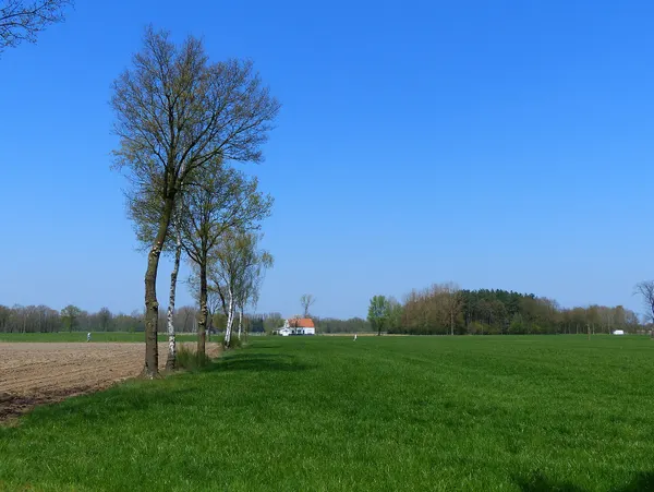 Berkelheide