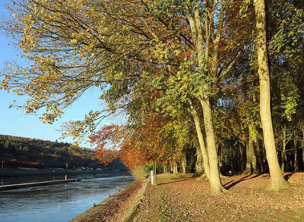 The Meuse river in Waulsort (Hastière, Belgium)