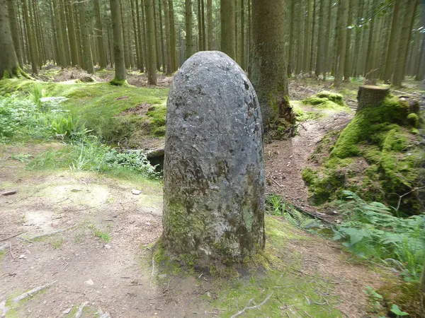 Borne N°6 de la Porallée installée en 1830 pour matérialiser la frontière entre les communes de Aywailles et Theux.