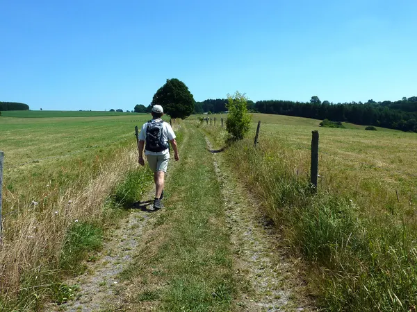Hiker