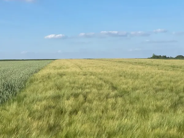 Visé, België Sint Pietersberg