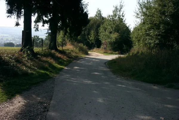 Vielsalm