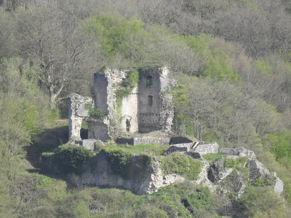 Hauteroche Castle in Dourbes 2024
