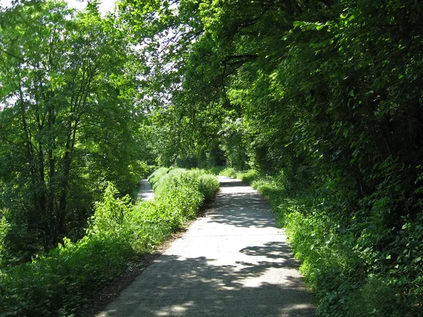 The upper road was the vicinal railway line from Olloy to Oignies, now a bicycle path.