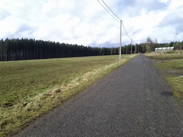 route vers Saint-Hubert (Belgique)