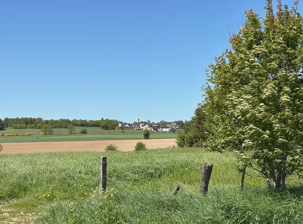View to Sainlez.