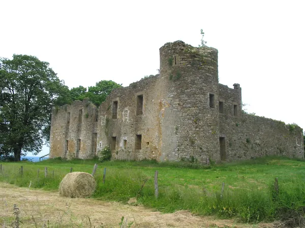 Montquintin, Belgium: "de Hontheim" castle ruins (15th–17th centuries).
