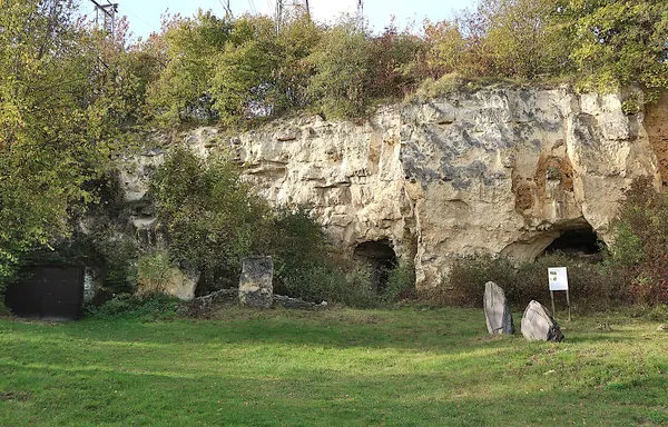 Former flint mines Pach̟-Lowe near Wonck (Bassenge)