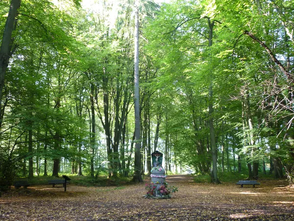 Vecquée