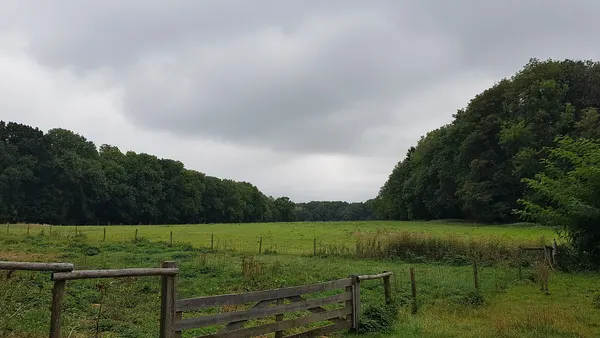 Rue de Caster, Caestert, gezien vanaf bij Observant (NL), kijkende richting het zuiden (BE)