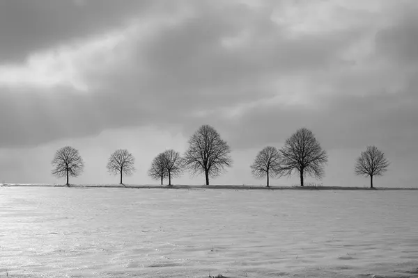 A set of trees