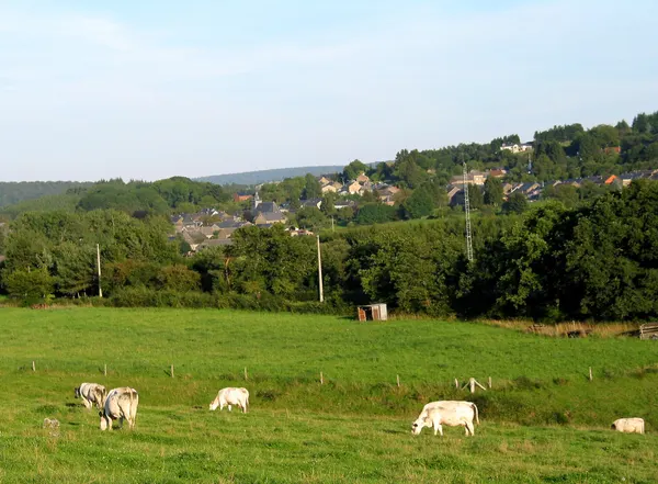 Bure (Belgium): the village in the summer.