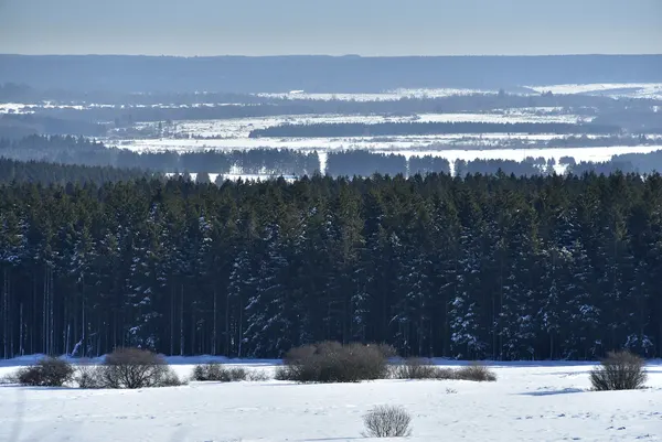 Vue des Hautes Fagnes sous la neige.