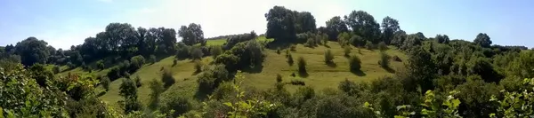 Dans la vallée du ruisseau du Wayot à Theux, depuis 2010, des travaux de réouverture du milieu réalisés par l’asbl Natagora ont permis…